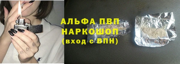 сатива Балахна