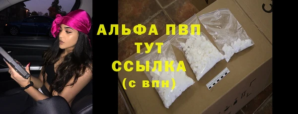 сатива Балахна