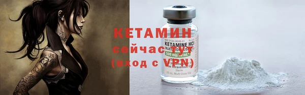 сатива Балахна