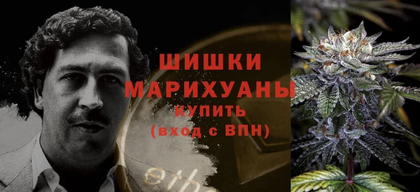 сатива Балахна