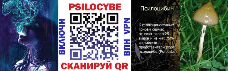Псилоцибиновые грибы Psilocybine cubensis  darknet состав  Кукмор 